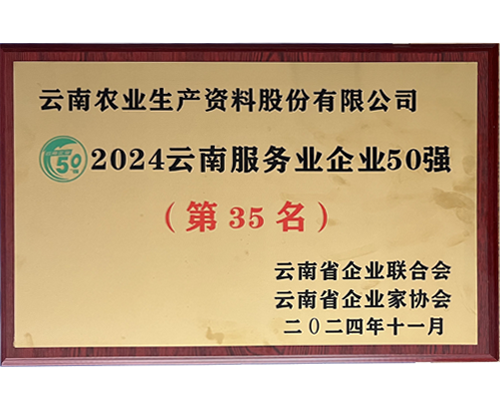 2024年云南服务业企业50强第三十五名