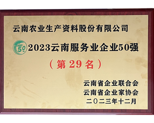 2023云南服务业企业50强第二十九名